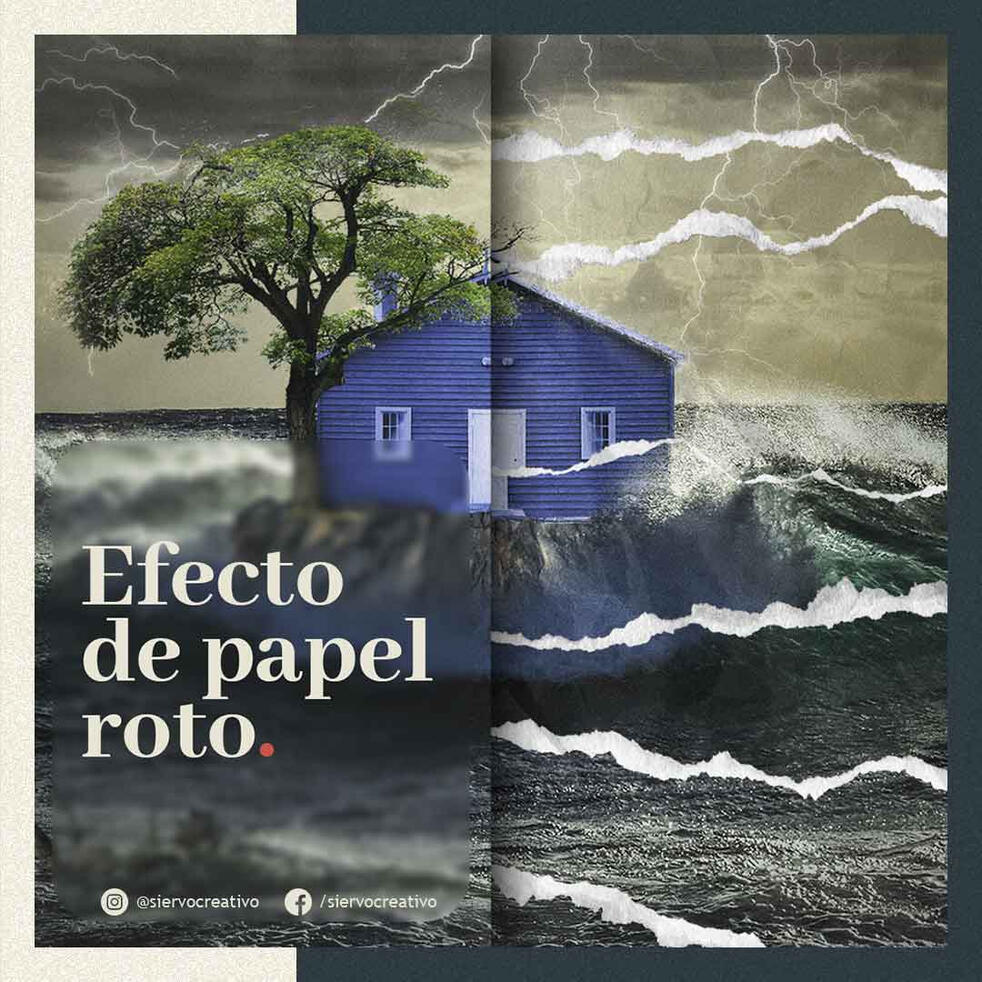 Ver más grande